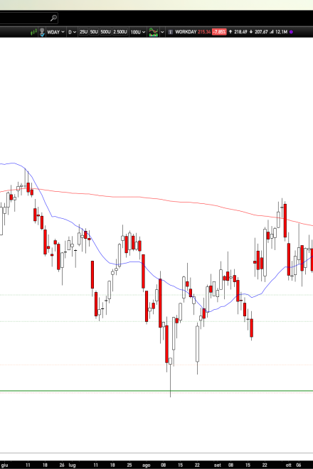 Long WDAY: Deep flush into support sets up technical rebound